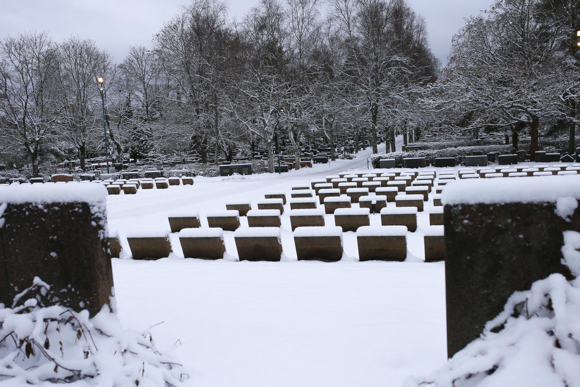 Lumisia sankarihautoja ja polku, joka kulkee sankarihautausmaan poikki.