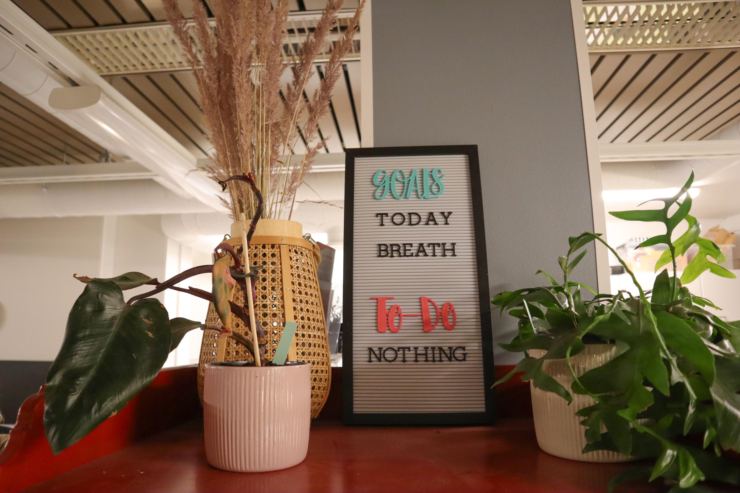 Kuvassa huonekasveja ja koristetaulu, jossa lukee "Goals today breath, to-do nothing"